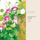 시선58