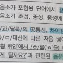 Re: 각론1 109p 음소 공통점, 차이점 찾기 이미지