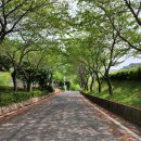 송평해수욕장2 이미지