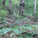 현동농장 이미지