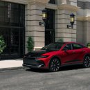 크라운독 이미지