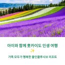 헤어메드 | 클럽메드 토마무 후기 , 홋카이도 가족 여행의 모든 것! (부대시설, 맛집, 액티비티, 교통 팁)