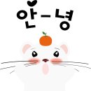 도봉-도봉-서울도봉-2308 이미지