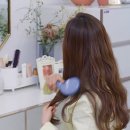 스와니브 이미지