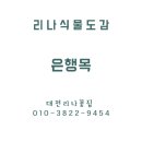 리본나무 이미지