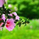 국제아파트 이미지