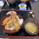 부엉이호텔별관 | [25.10.14]일본 삿포로 가을 여행 비에이투어 하루하루투어 내돈내산 찐후기