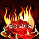 모두모아 이미지