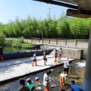 고천교 Daum카페