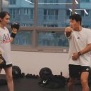 팀위너 복싱핏 이미지