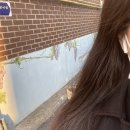 승한사료 이미지