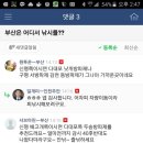 시민낚시