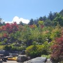 우룡농장 이미지