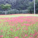 승산농장 이미지