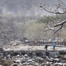 구례산동농협하나로마트 이미지