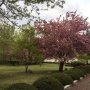 경주코튼빌리지 이미지