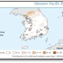 동해의원 네이버블로그