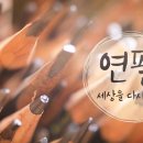 세상을쓰다 이미지