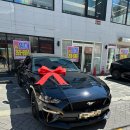 설렘 | 설렘은 그대로, 후기는 늦게｜머스탱 오너 반년 차