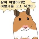한입만