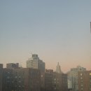 메디슨 코리아 | [뉴욕 겨울 3주 여행/4일차] 이스트 빌리지에서 매디슨까지 하염없이 걸었던 반나절