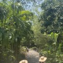 기린식당 이미지