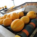 권오선농장 이미지