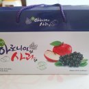 일향유통 이미지