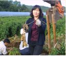 늘해랑농원 이미지