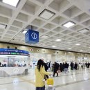 제주도 오메기떡 춘심이네 공항 새길점 여행 선물로 최고