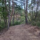 영천남부공인중개사사무소 이미지