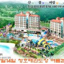 청호태권도장 이미지