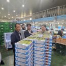강원농산물 - 수원시 팔달구 창룡대로26번길 42-7 | 강원농산물