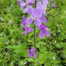 양장기능사 | 여성복기능사 (양장기능사 )합격 후기