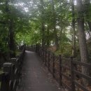 9월20일(토)세종 기차여행 시티투어 (정부청사-옥상정원-원수산둘레길)/마감 이미지