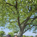 영택농장 이미지