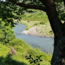 압록유원지 이미지