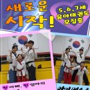 아이베스트태권도 이미지