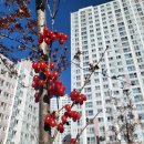 의료근린공원 이미지