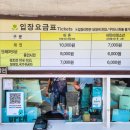 한택식물원주차장 | 용인가볼만한곳 한택식물원 5월말 풍경