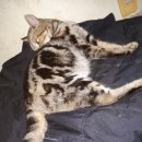 비결농장 이미지