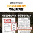 고고돼지 이미지
