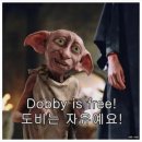 이십이(22) 이미지