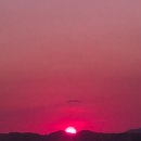 탑정호출렁다리 | 논산 탑정호 출렁다리 야경 후기