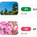 전남체육고등학교 이미지