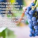 Bible Reading - Romans 7:1~8 이미지