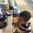 원골농원 이미지