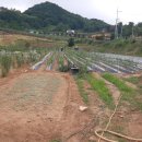 중앙탑면사무소 이미지