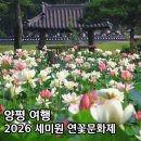 이서면 대전1리(2) 정자 옆 마을체육시설 | 2026 세미원 연꽃문화제 양평 두물머리 연꽃축제 입장료 총정리