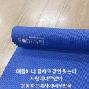 Team Shark 이미지